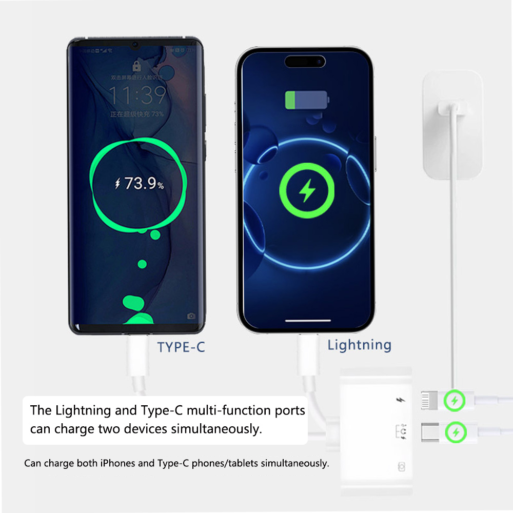 2 in 1 Lightning Type C to USB - Wired Earphone Lightning ulasan dan harga